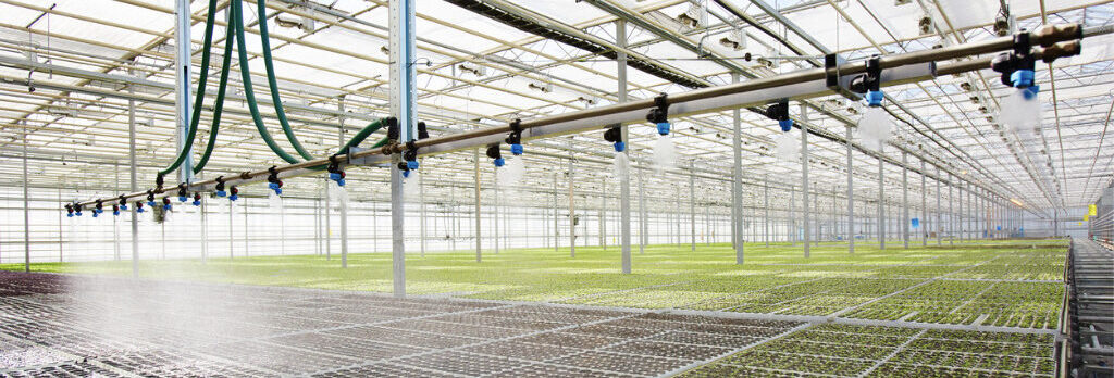 Irrigation-e1647533596798